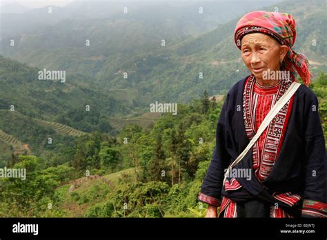 Tay Tribeswoman Ha Giang Province Vietnam Stock Photo Alamy