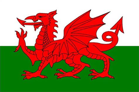 The flag of wales is known as the red dragon flag. My british life 2010: Welsh Flag and Union Jack!