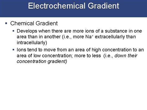 Electrical Physiology Excitable Cells Electrochemical Gradient Resting