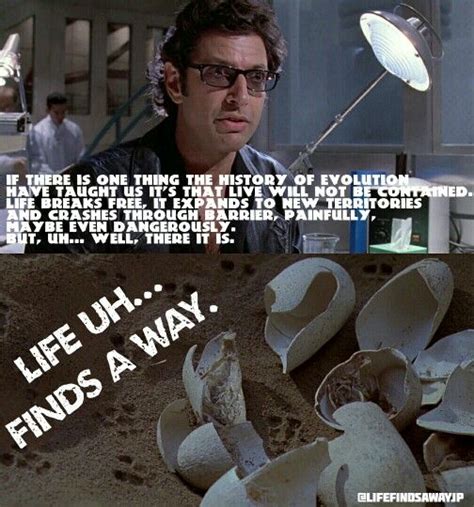Ian Malcolm Life Uhfinds A Way Jurassic Park World Jurassic World