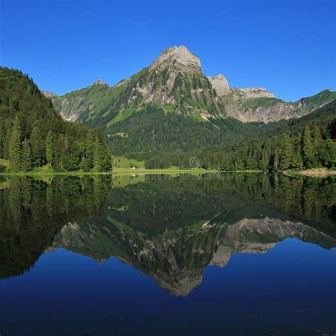Summer Day At Lake Obersee Stock Image Image Of Morning 74720593