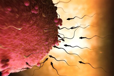 Causes Of Low Sperm Count And Motility