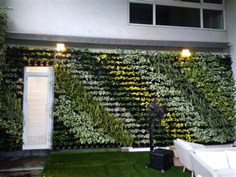 Natural Plants Green Wall Vertical Garden Rs 399 Square Feet Gng