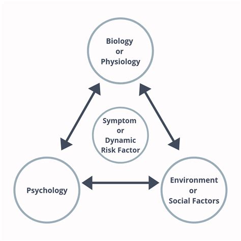 Describing A Person Using The Biopsychosocial Model
