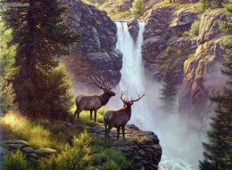 Elk In Mountains Waterfall Trees Elk Mountains Hd Wallpaper Peakpx