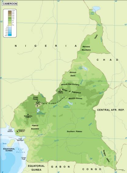 Cameroon Physical Map Order And Download Cameroon Physical Map