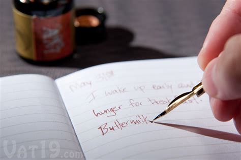 First of all, it is important to know what ink to use. Feather Pen Set: Feather quill, wood pen, metal nibs, and ink
