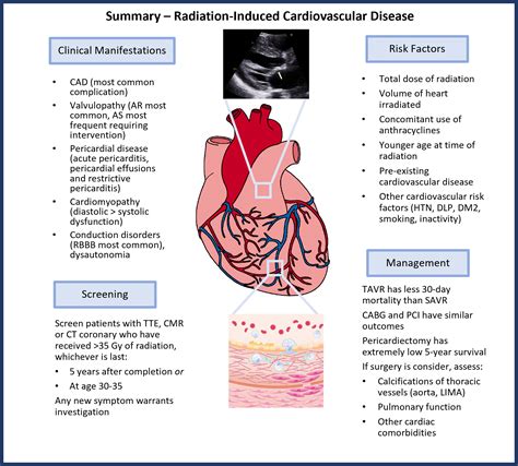 Radiation‐induced Cardiovascular Disease Review Of An Underrecognized