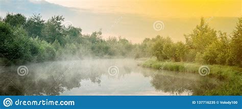 Sunrise With Mist Over A Lake At The Wetlands Stock Image Image Of