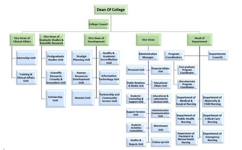 Nursing Organizational Structure Chart