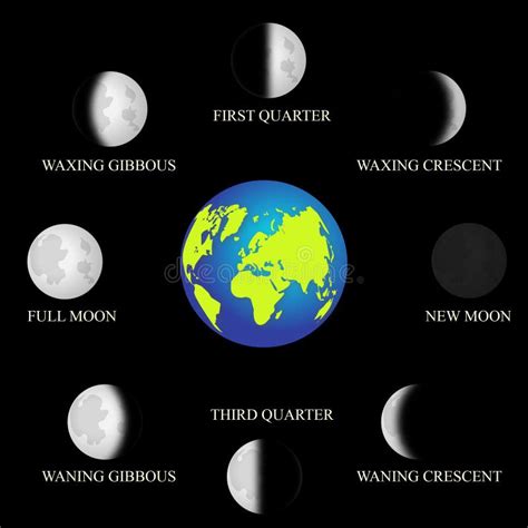 Basic Phases Of The Moon Stock Vector Illustration Of Light 88804656