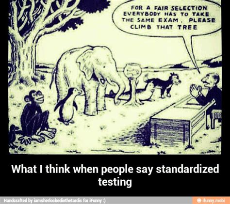 Everybody Has To Ya The Same Exam Please Climb That Tree For A Fair
