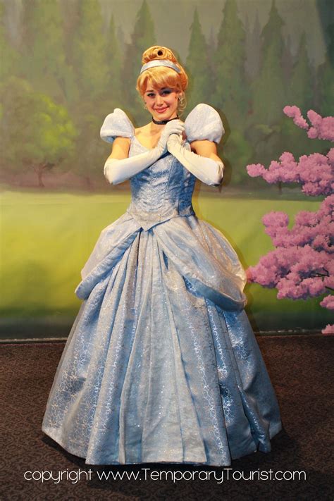 Cinderella The Characters Of Walt Disney World Photos — Temporary
