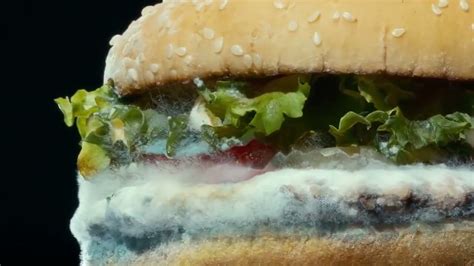 Burger King Moldy Whopper Cannes Advertising Festival 2021 Film Silver Lion Youtube