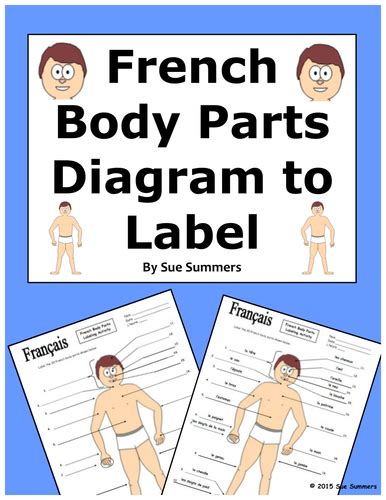 This diagram depicts pictures of human body parts. French Body Parts Diagram to Label with 20 Body Parts by suesummersshop - Teaching Resources - Tes