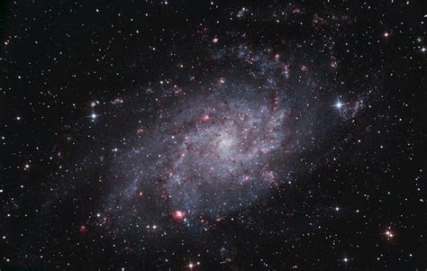 Triangulum Galaxy Messier 33 Constellation Guide
