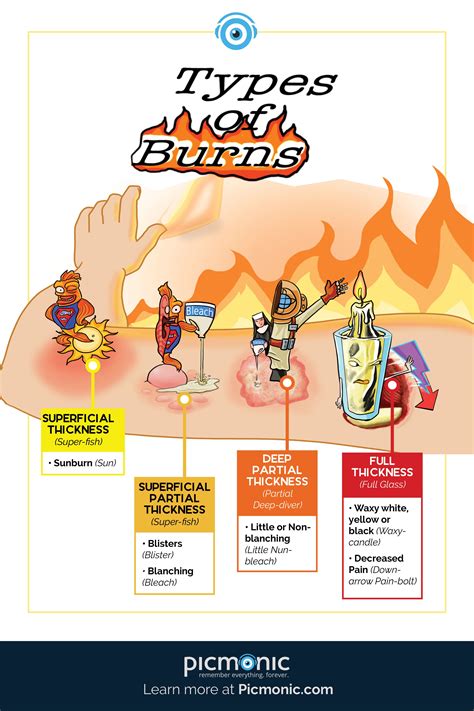 Burn Injuries Involve The Destruction Of The Integumentary System And