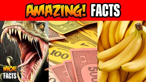 Did You Know Amazing Random And Interesting Facts 13 Youtube