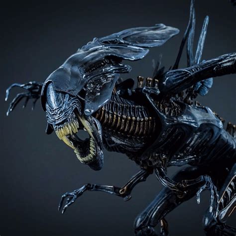 Check spelling or type a new query. NECA Alien Queen (Aliens - Xenomorph Queen Ultra Deluxe ...