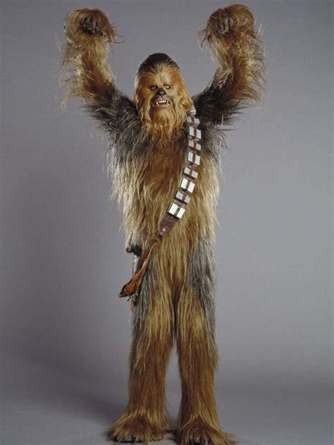 The Evolution Of The Wookiee In ‘star Wars Fandom