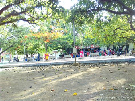 Check out the list of movie theatres in surat with the show timings of all now showing movies only at etimes. Sarthana Nature Park Zoo Surat - Entry Fess, Timing ...