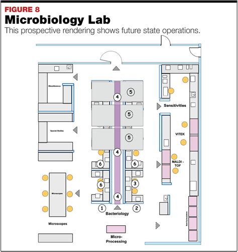 Designing A Microbiology Laboratory D90