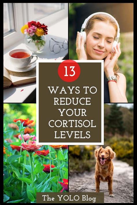 13 ways to lower cortisol levels naturally lower cortisol levels reducing cortisol levels