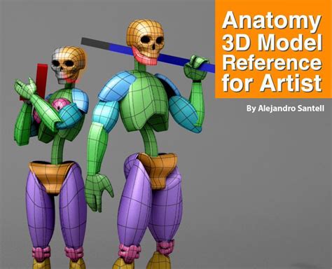 Anatomy 3d Model Reference For Artist 3d Model Anatomy 3d Model