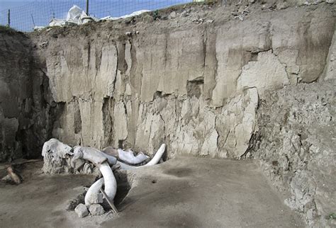 Cacería del mamut en México cómo era un hallazgo lo revela