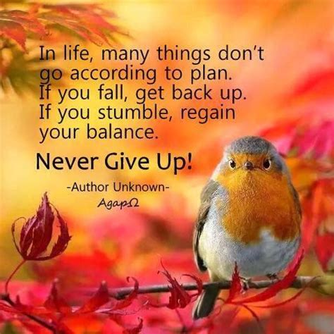 Quotable quotes wisdom quotes true quotes words quotes quotes to live by motivational quotes inspirational quotes quotes on lies fall out of love quotes. Never Give Up! Pictures, Photos, and Images for Facebook, Tumblr, Pinterest, and Twitter