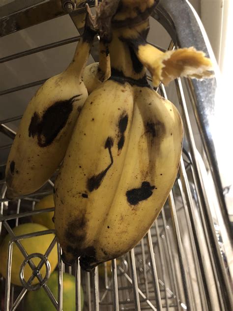 Conjoined Bananas Rmildlyinteresting