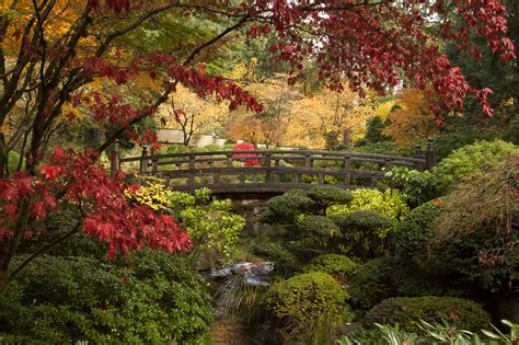 Portland Japanese Botanical Garden Abbie Talbot