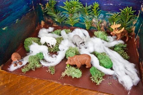 How To Make A Taiga Diorama Synonym Biomes Project Projects Green