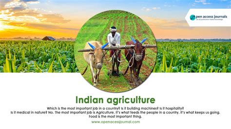 Indian agriculture - All information about Indian ...