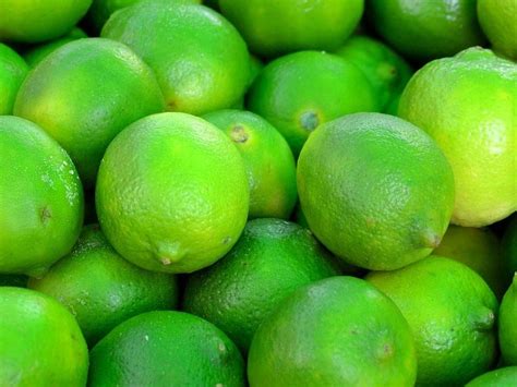 A Grade Andhra Pradesh Fresh Green Lemons Packaging Size 40 Kg