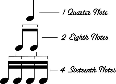 How To Divide A Quarter Note The New Drummer