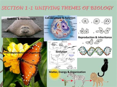 Ppt The Science Of Life Powerpoint Presentation Free Download Id
