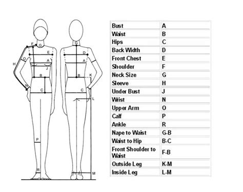 Full Body Measurement Chart