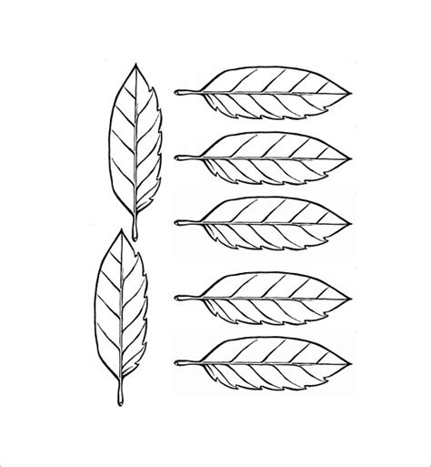 Palm leaf coloring pages are a fun way for kids of all ages to develop creativity, focus, motor skills and color recognition. Leaf Template - 7 Free PDF Download | Sample Templates