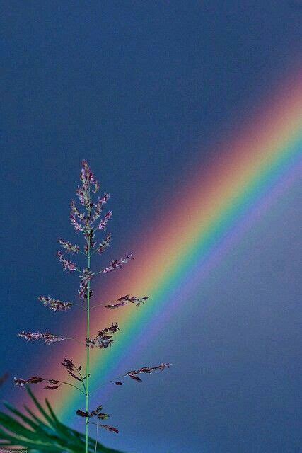 Pin By Vlad Morz On Rainbow In 2019 Rainbow Aesthetic Rainbow Sky