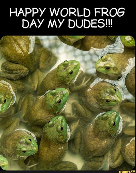 Happy World Frog Day My Dudes Ifunny