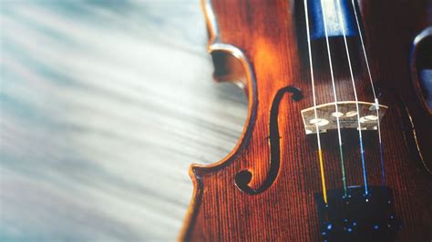 Violin Wallpapers Top Free Violin Backgrounds Wallpaperaccess