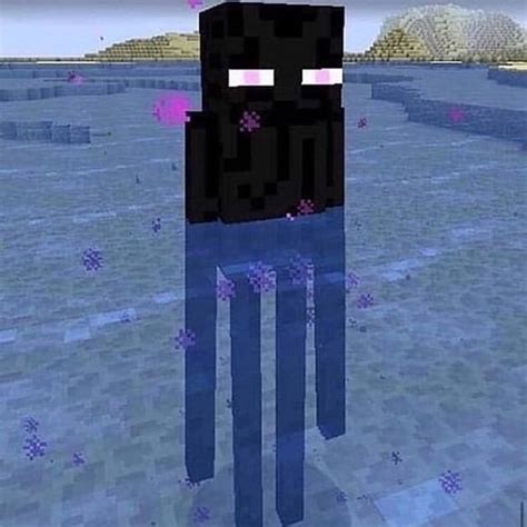 Pin By 🌴aroha🌴 On All About Me Minecraft Funny Minecraft Memes