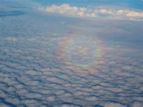 Circular Rainbow Taken From Plane Above The Clouds Bob Leckridge