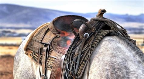 12 Best Western And English Saddle Brands