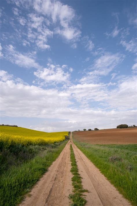A Long Dirt Road Surrounded By Cultivated Fields On One Side A Yellow