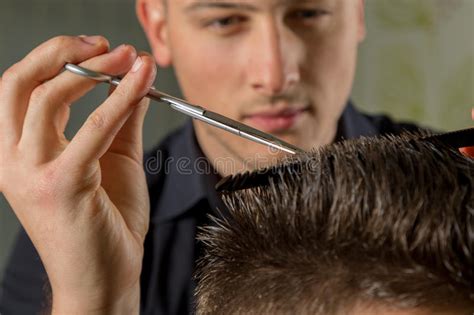 30 new men hair cuts. Men S Hair Cutting With Scissors In A Beauty Salon Stock ...