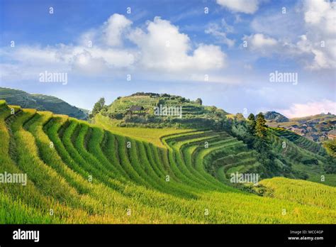 Famous Rice Terraces Beauty Of Nature Longji China Stock Photo Alamy