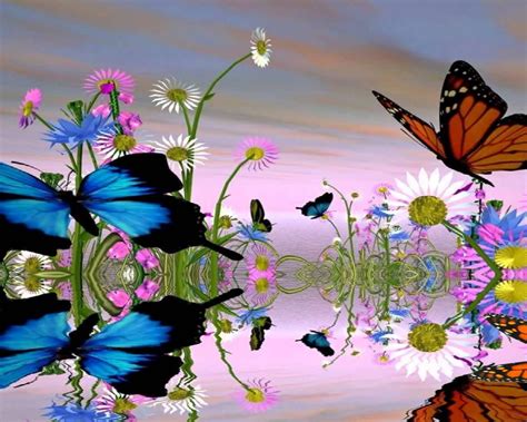 Free Download Fantastic Butterfly Screensaver Creensavertcom