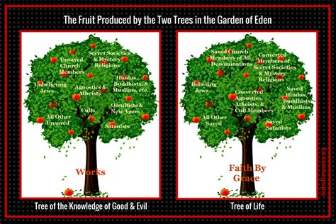 Garden Of Eden Tree Of Life And Tree Of Knowledge Seeing What The